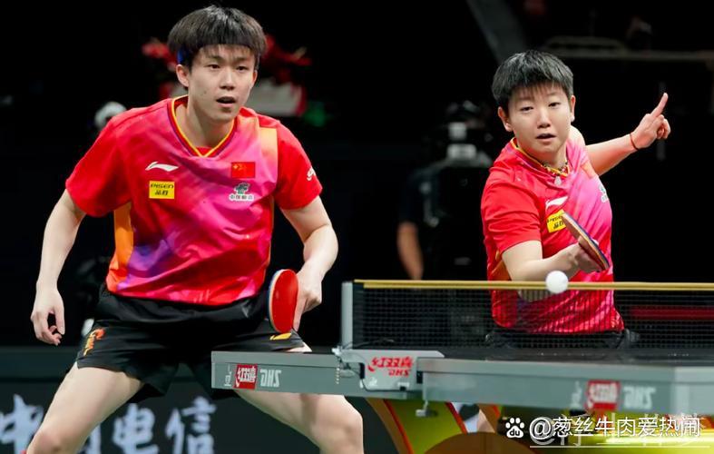 乒乓混双世界杯半决赛精华：德国对决日本